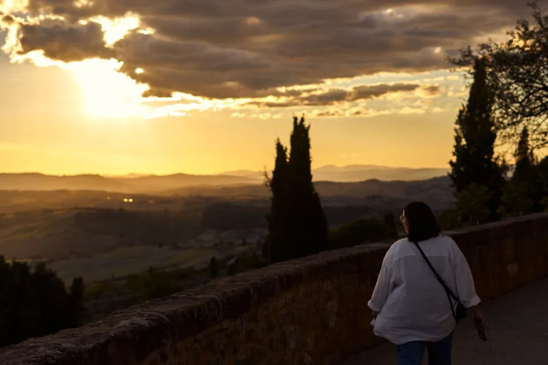 Ciak, si abbaia! Come i cani italiani stanno conquistando i set di tutto il mondo