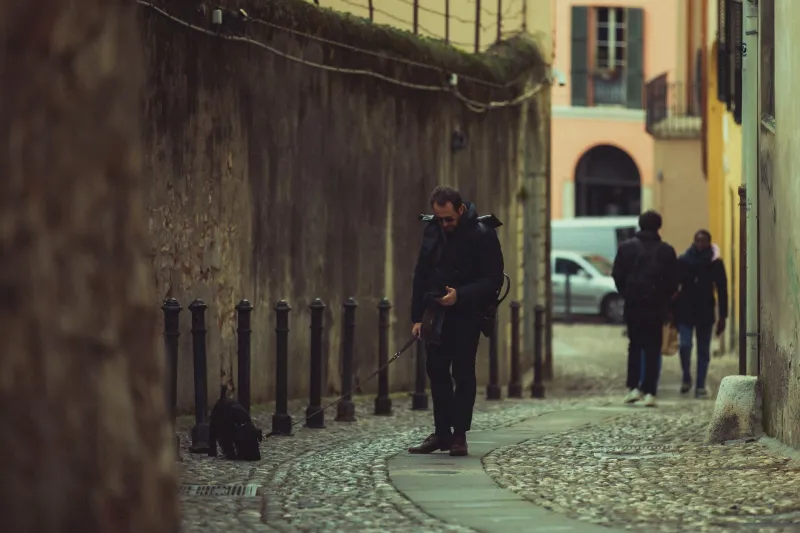 Da guardiano dei campi a coinquilino del cuore: come il cane racconta l'Italia che cambia