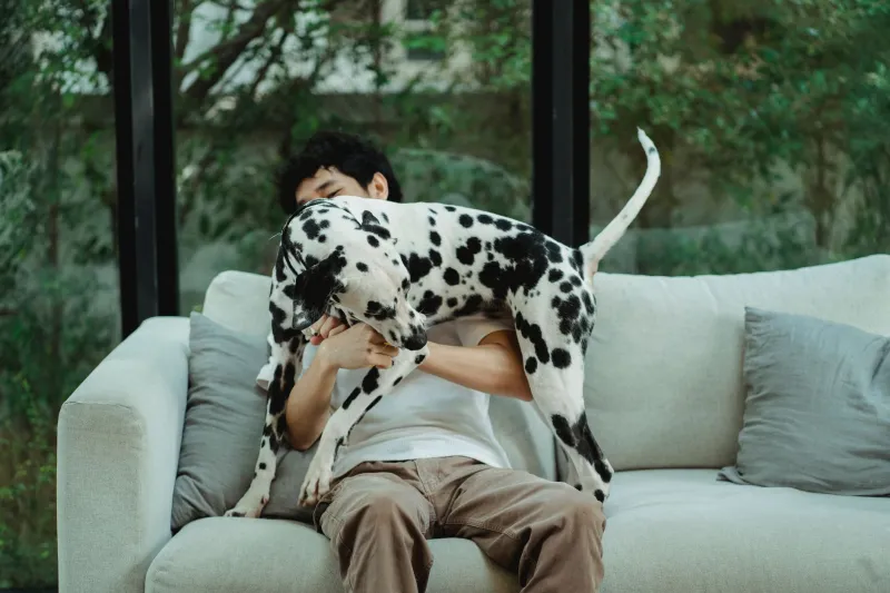 Fido ti legge dentro: cosa ci insegna l'intelligenza emotiva del cane sulla nostra umanità