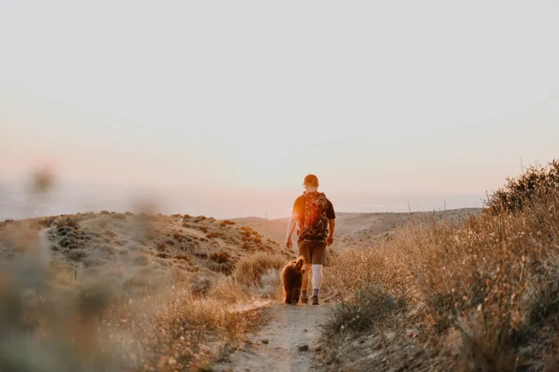 A passo di zampa lungo la penisola: storie di italiani (e cani) che hanno scelto il viaggio lento