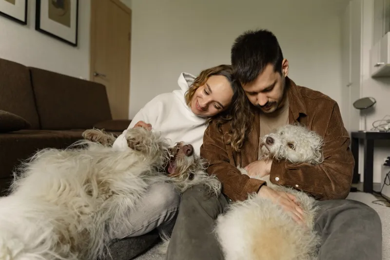 Siamo noi, solo con quattro zampe: vizi e virtù degli italiani visti attraverso i loro cani